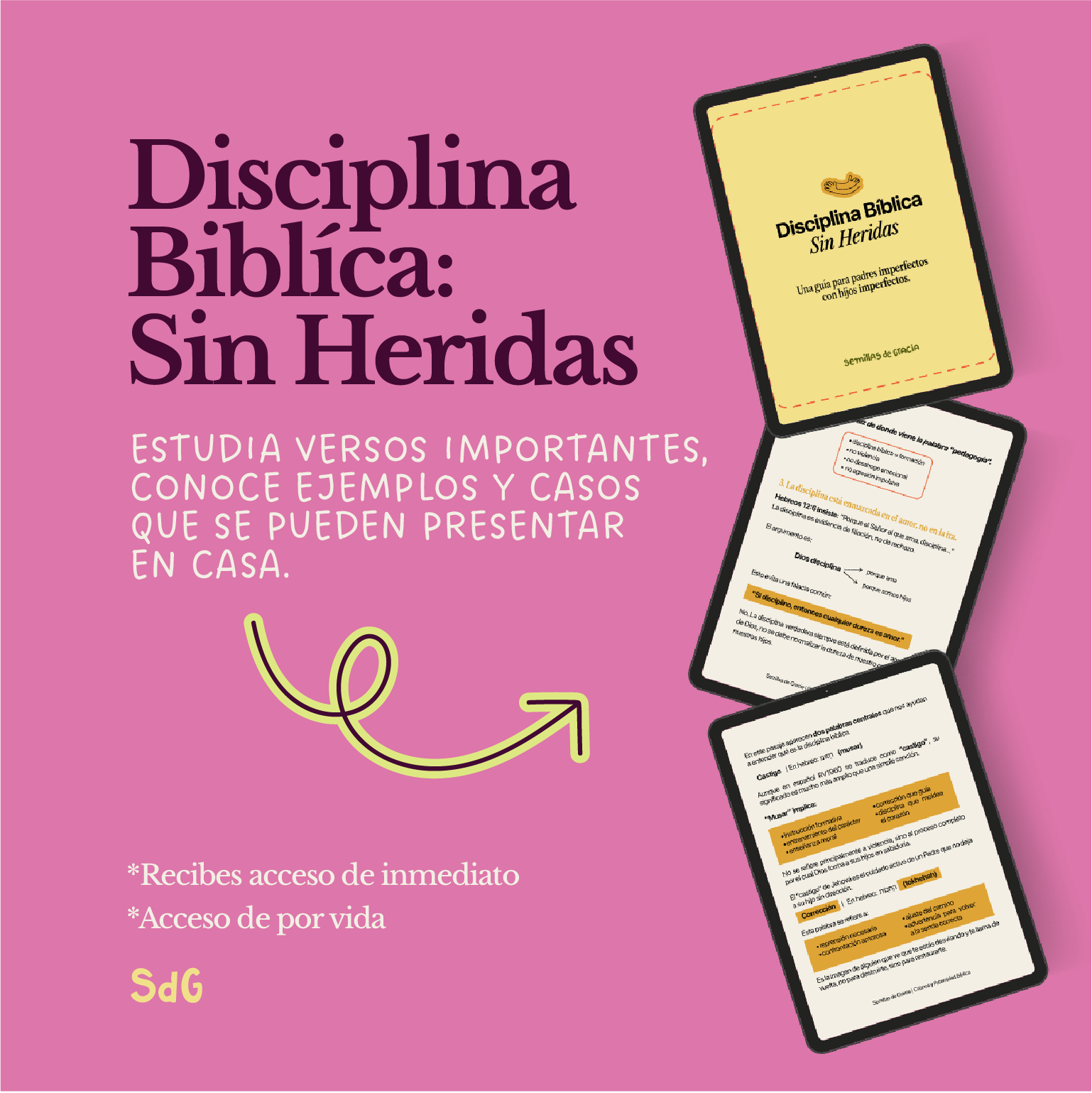 Guía: Disciplina Biblíca Sin Heridas (Copy)