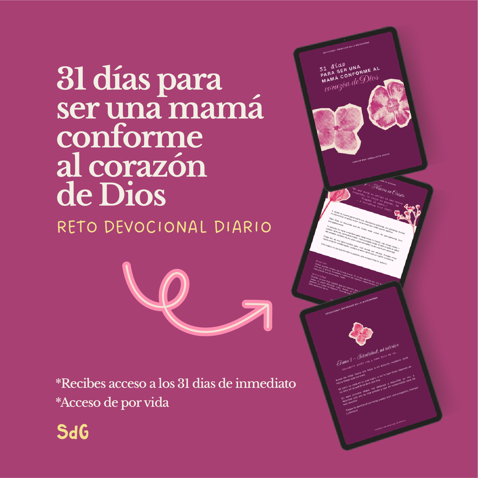 Guía devocional: 31 días para ser una mamá conforme al corazón de Dios